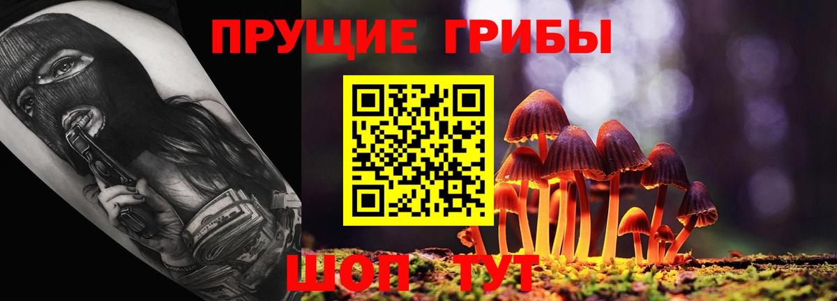 Тамбов  Галлюциногенные грибы Cubensis  Вход с VPN 