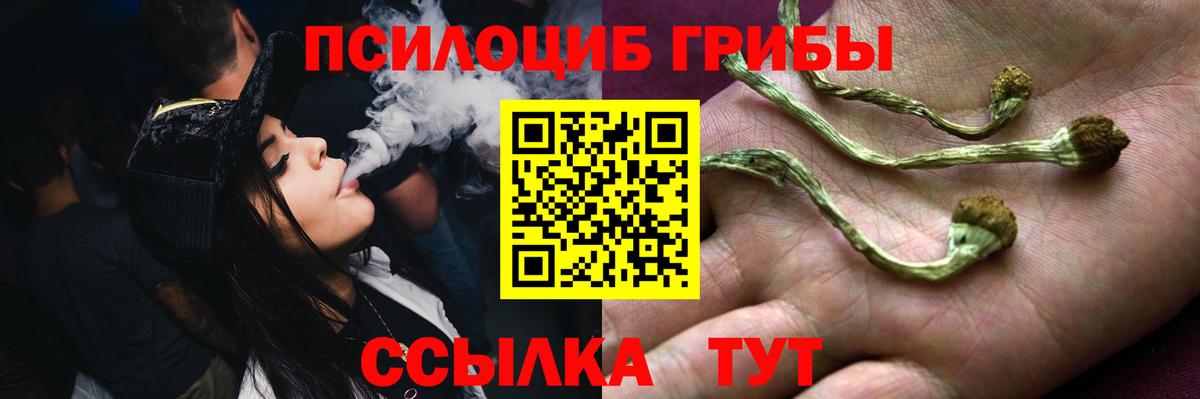 Псилоцибиновые грибы ЛСД Тамбов