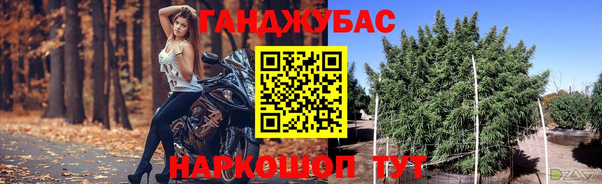 Тамбов  Бошки Шишки планчик  Бошки марихуана SATIVA & INDICA  Шишки марихуана Ganja  Конопля VHQ  Вход с VPN 